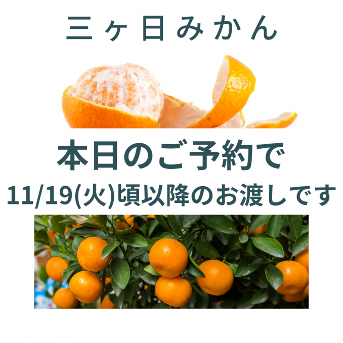 本日のご予約で19日頃以降のお渡し予定です