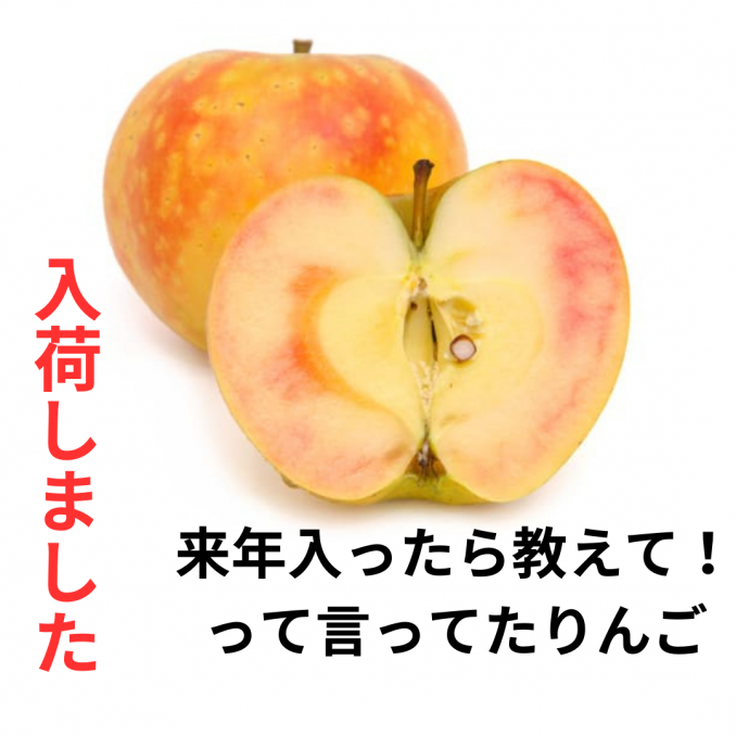 「来年出たら連絡してください！」っておっしゃったあなたへ