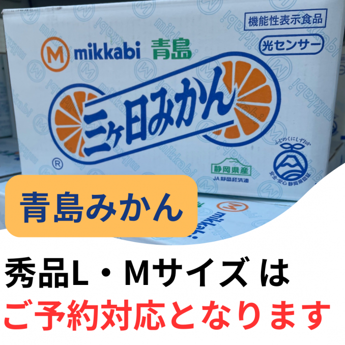 秀品L・Mは予約販売となります